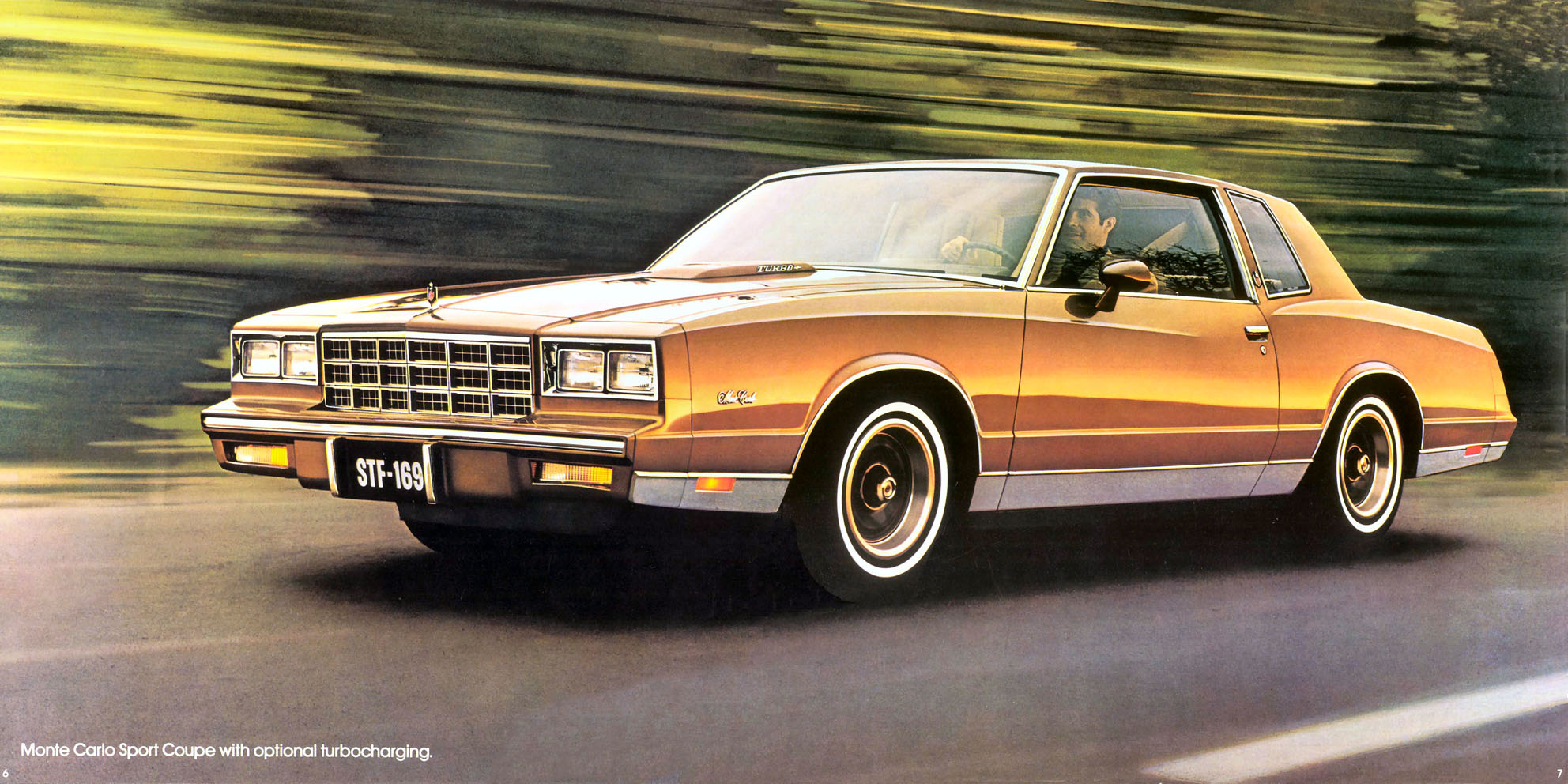 1981 Chevrolet Monte Carlo