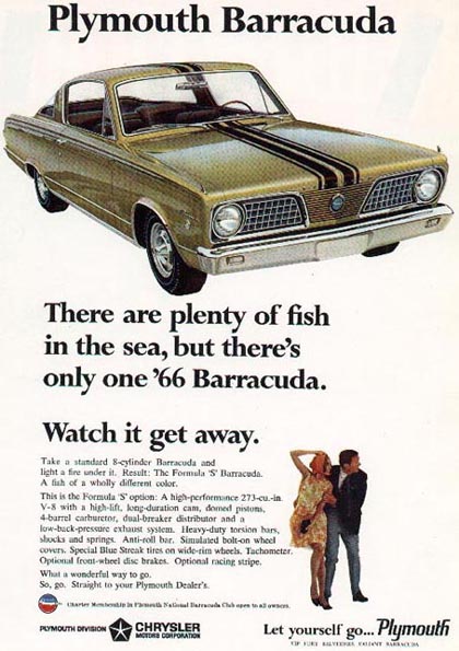 Barracuda