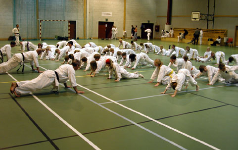 Sensei T. Watanabe visiting Kristiansand 2004