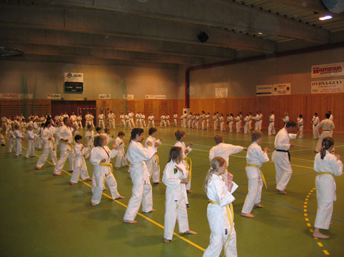 Sensei T. Watanabe visiting Kristiansand 2005