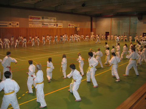 Sensei T. Watanabe visiting Kristiansand 2005