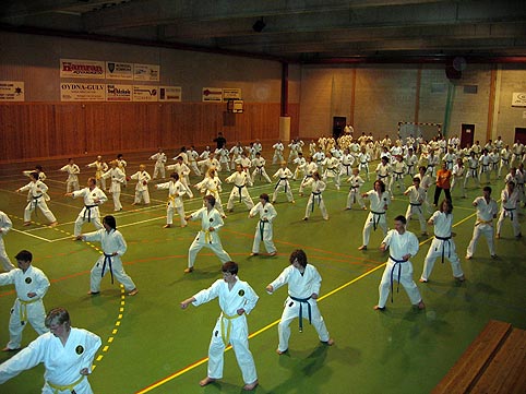 Sensei T. Watanabe visiting Kristiansand 2005