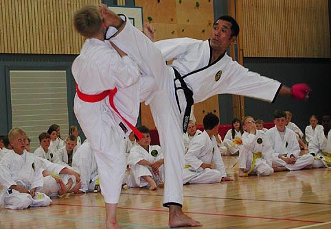 Sensei T. Watanabe visiting Kristiansand 2002