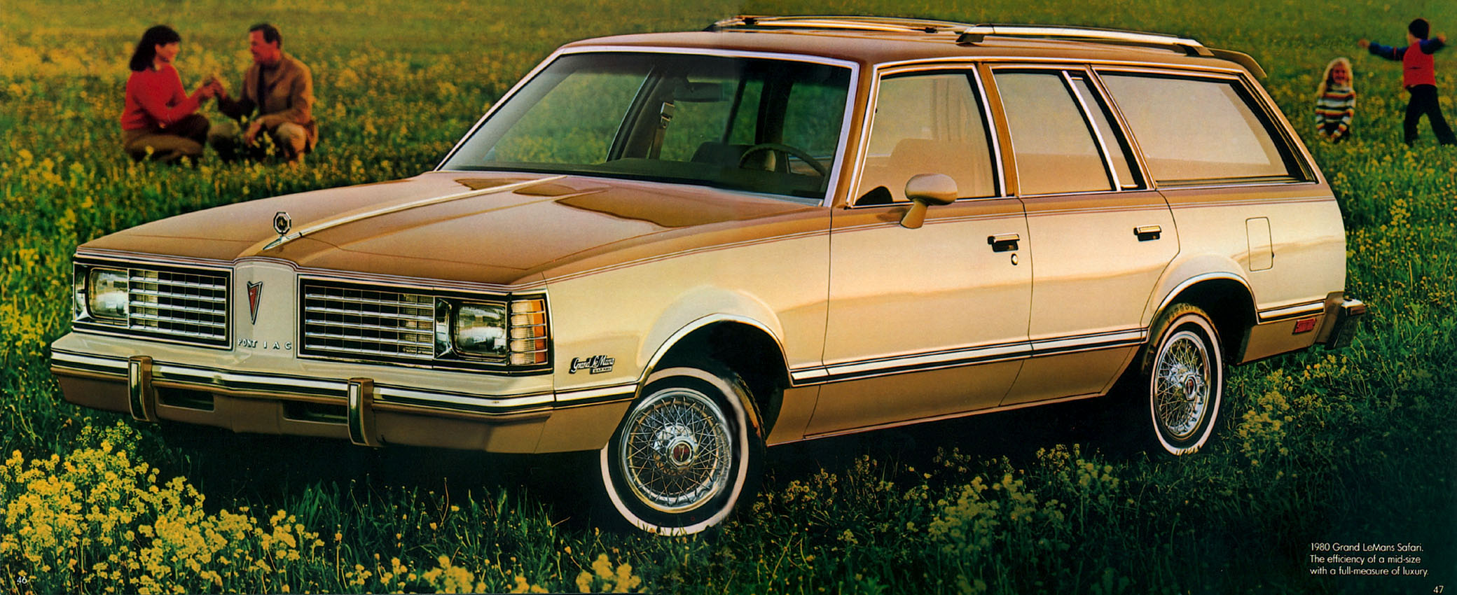 1980 Pontiac