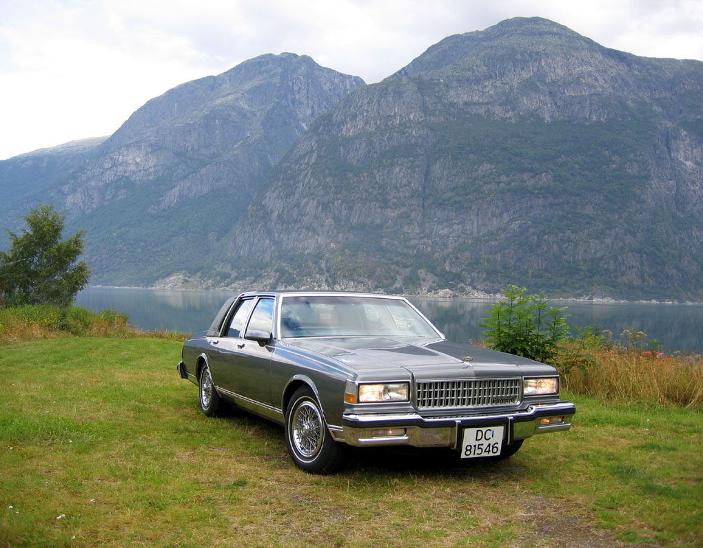 1988 Chevrolet Caprice Classic Brougham LS