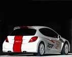 2005 Peugeot 207 RCup