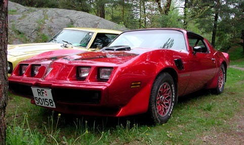 1979 Pontiac Firebird Trans Am