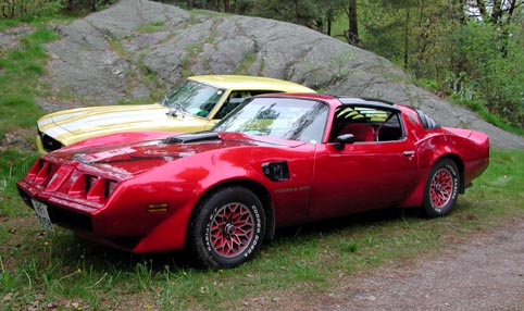 1979 Pontiac Firebird Trans Am